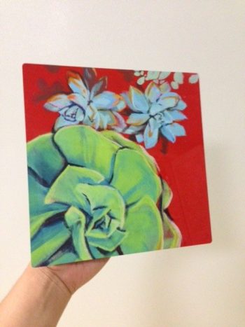"Echeveria" Limited Edition Aluminum Print